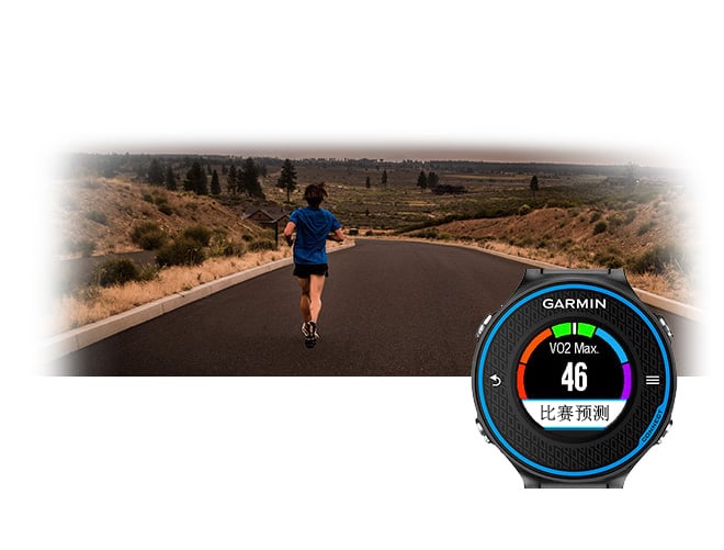 xcsport体育官方网站图片