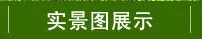 xcsport体育官方网站图片