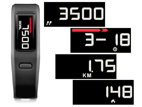 xcsport体育官方网站图片
