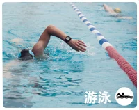 xcsport体育官方网站图片